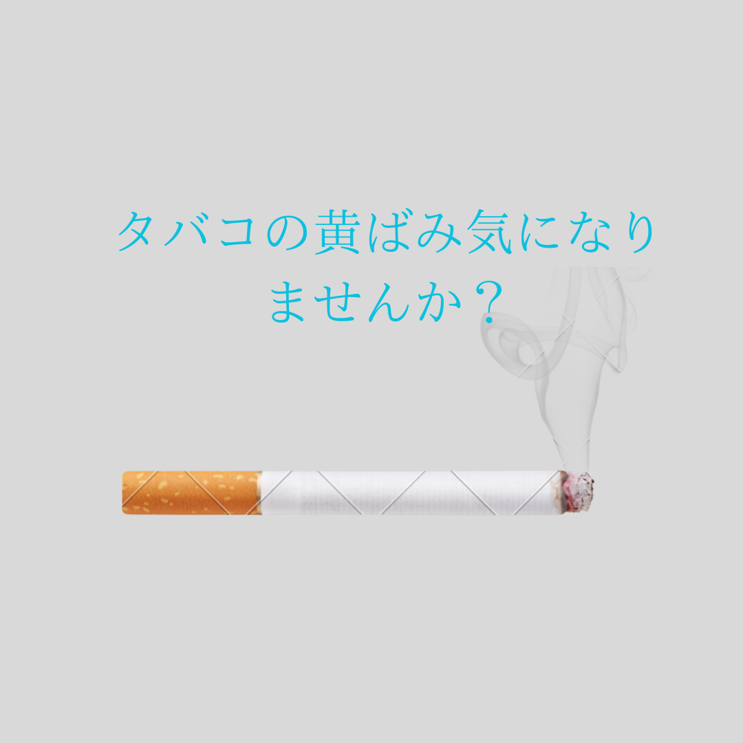 ダウンロード (3)